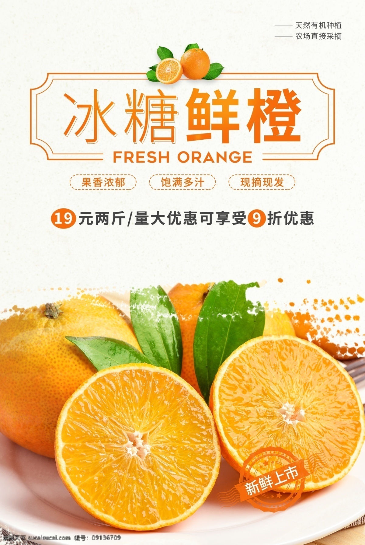 冰糖 鲜橙 水果 促销活动 宣传海报 冰糖鲜橙 促销 活动 宣传 海报 餐饮美食 类