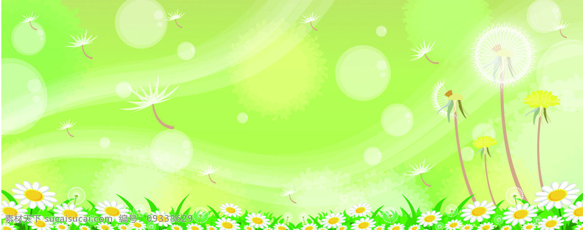 菊花 蒲公英 绿色 背景