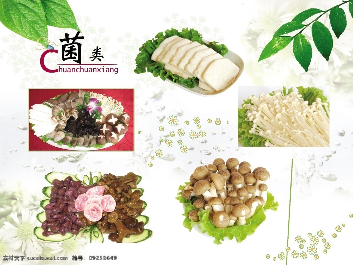 火锅菌类 海报 火锅肉类海报 绿叶 花边 金针蘑 菌类 蘑菇 豆腐