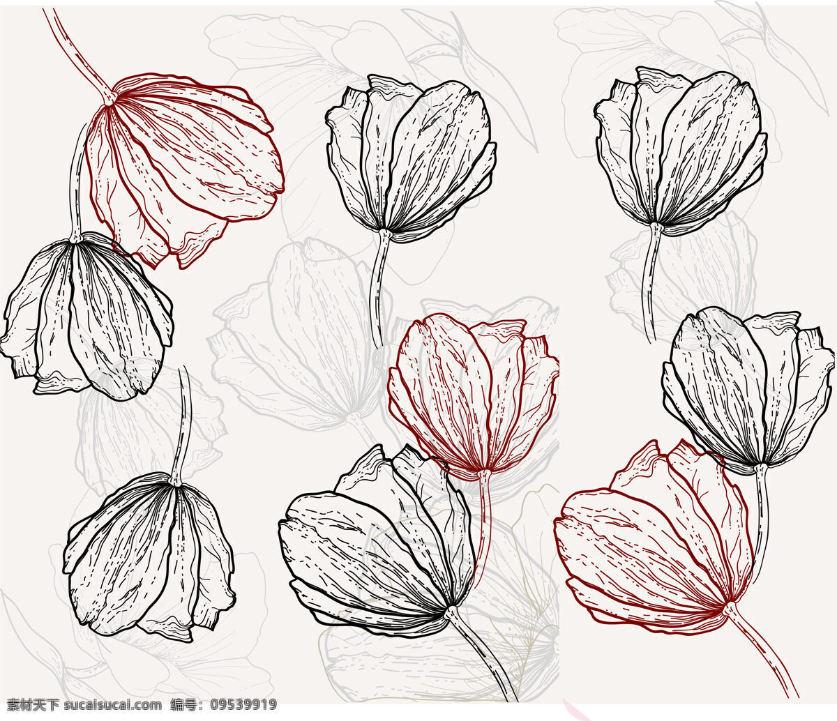 现代 简约 郁金香 线条 背景 墙 玫瑰线条 玫瑰花纹 郁金香花纹 抽象线条 北欧简约玫瑰 抽象花朵条纹