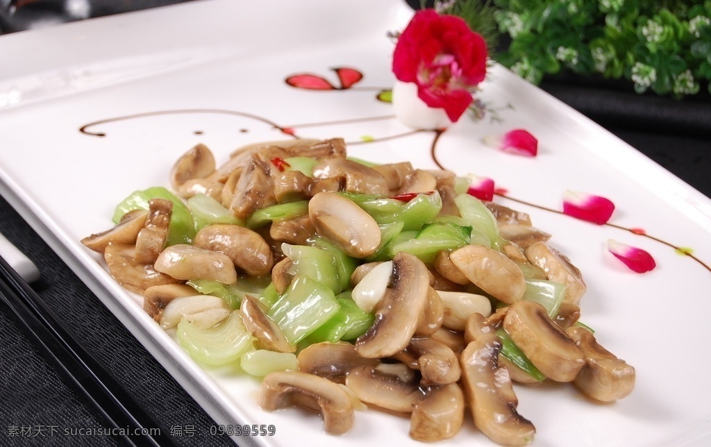 小炒鲜菇 美食 菜品 菜谱 餐饮 中餐 食品 传统美食 餐饮美食 蘑菇 菇类 小炒 小吃 炒菜 粤菜 菌类 高清 写真照片