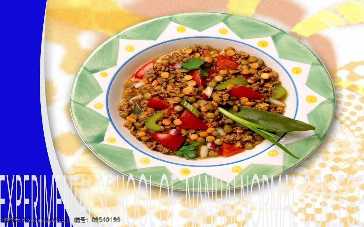 精美菜艺 肉丝炒黄豆 炒肉丝 中国菜 菜艺模版 菜式背景 其他模版 广告设计模板 源文件