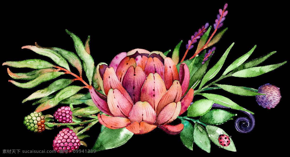 高清 水彩 手绘 肉 植物 花朵 浆果 插画 多肉植物 田园 免扣 边框 底纹