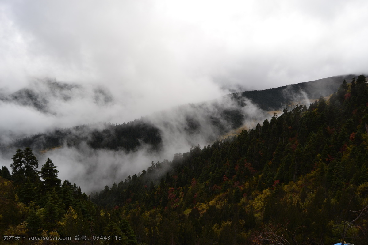 林芝 西藏 旅游 巴松措 云 雾 天空 山 鲁朗林海 国内旅游 旅游摄影