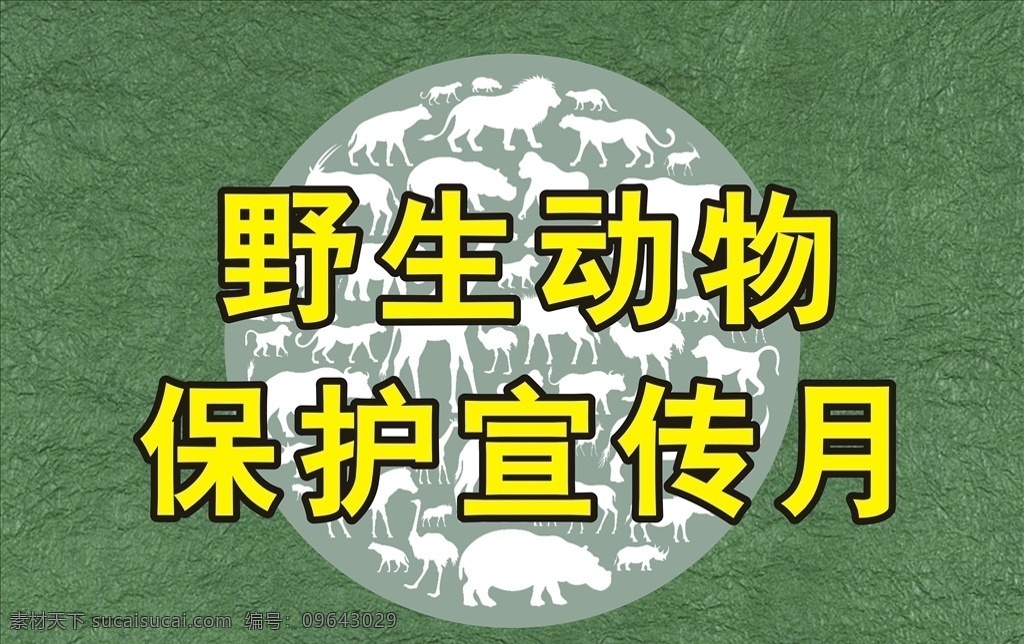 野生动物图片 保护野生动物 野生动物保护 动物保护 保护动物 动物 保护动物旗帜 教育 培训 学习班