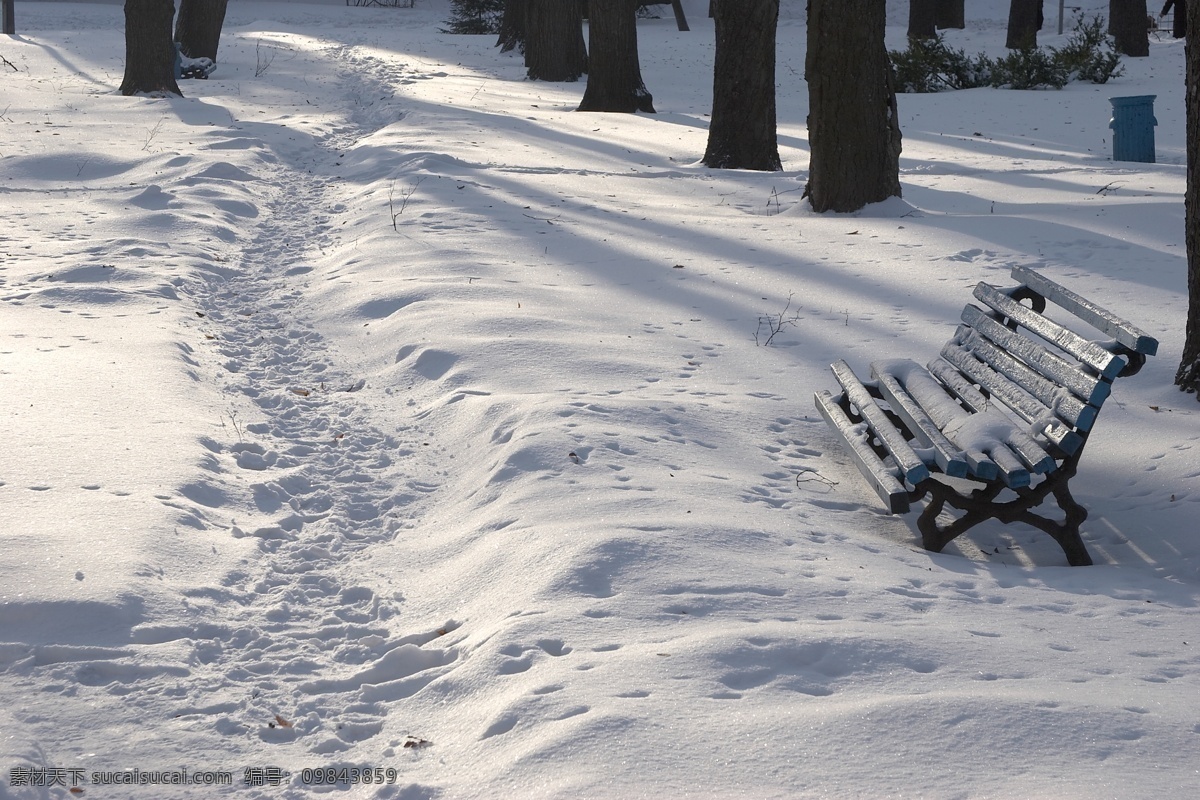 美丽 冬天 雪景 冬天雪景 冬季 美丽风景 美丽雪景 白雪 积雪 树林 椅子 雪景图片 风景图片