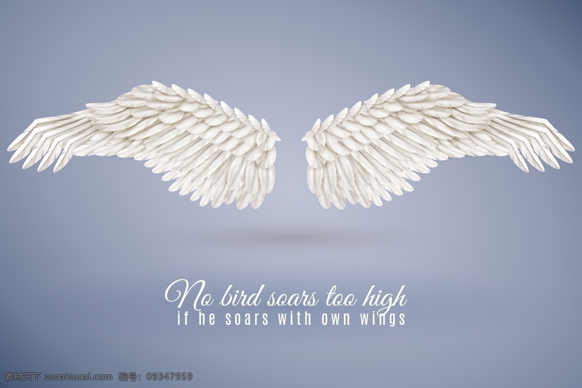白色翅膀 白色 翅膀 矢量图 美丽的翅膀 飞翔