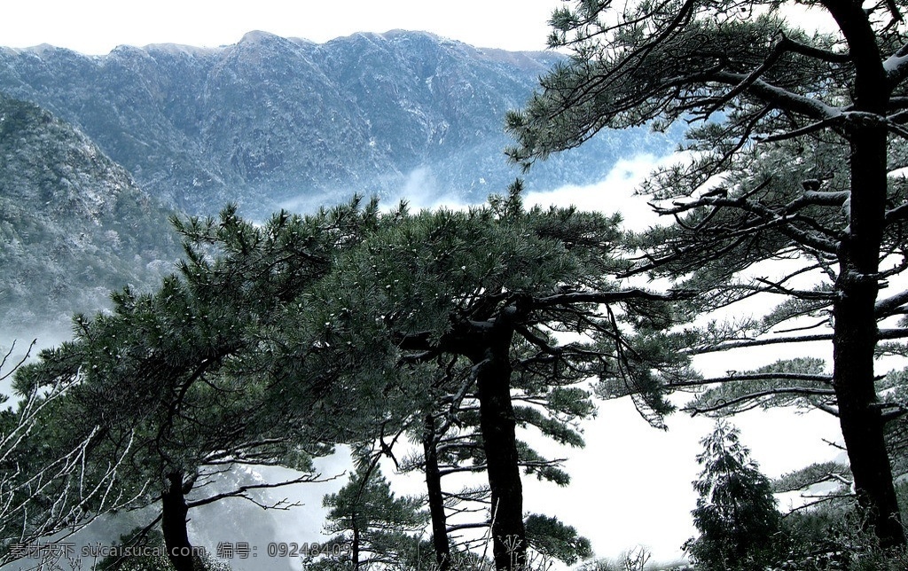 武功山雪松 武功山 雪松 江西萍乡 萍乡风光 萍乡旅游 萍乡人文 雪 云海 山脉 国内旅游 旅游摄影