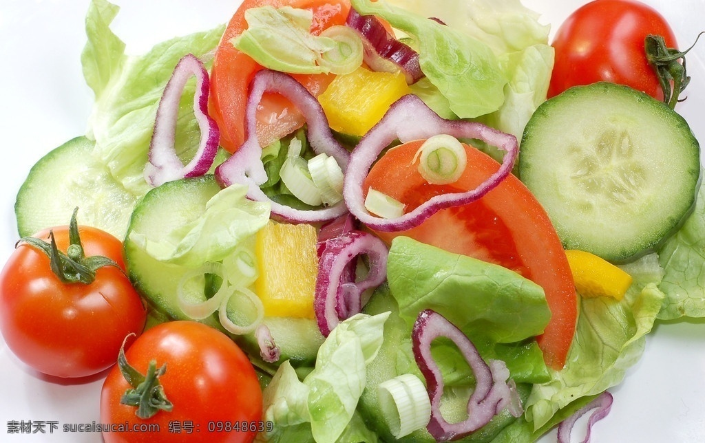 蔬菜拼盘 西红柿 葱头丝 青菜 沙拉 蔬菜 健康 营养 蔬菜主题 生物世界
