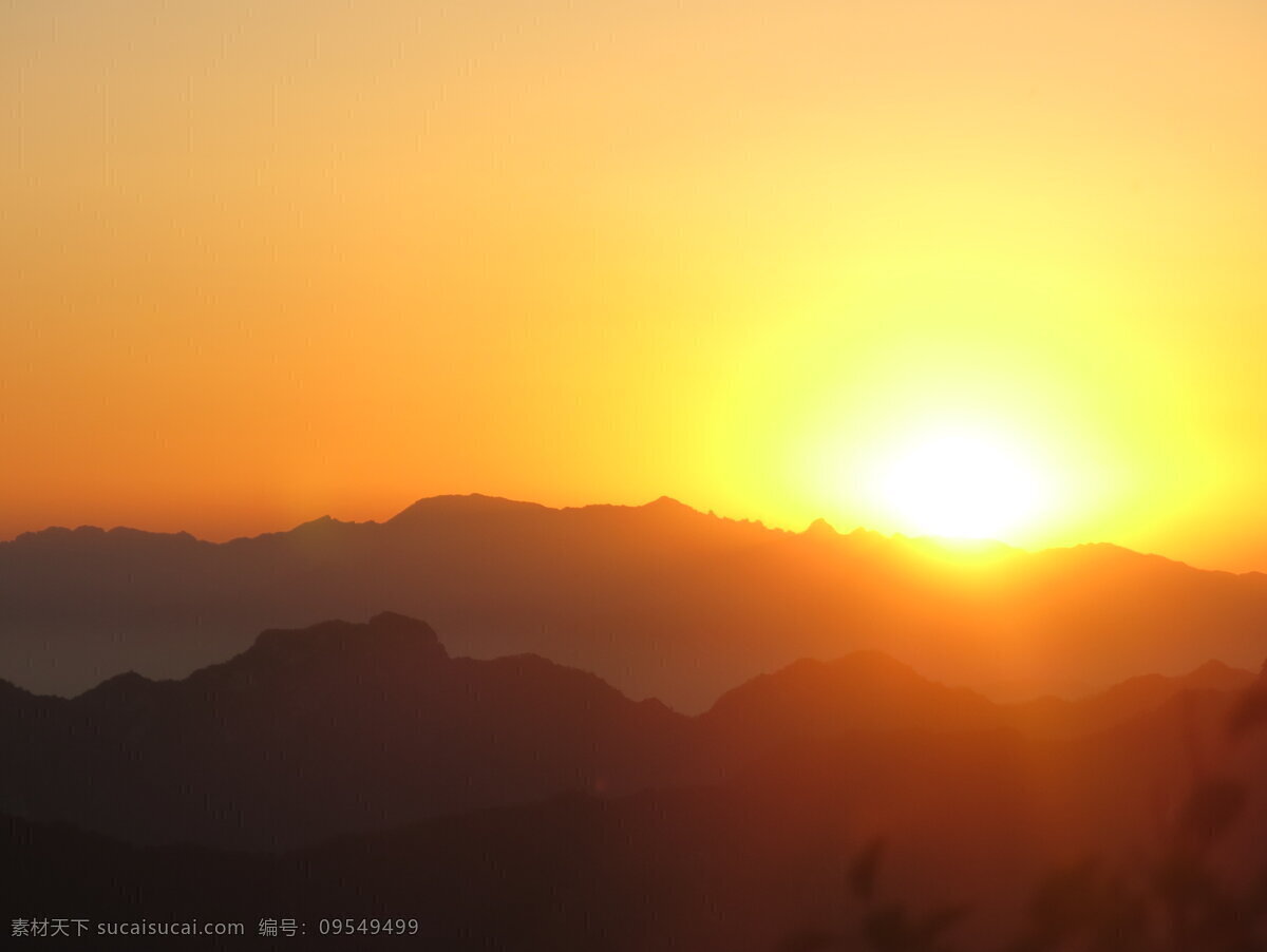 华山风光 华山一角 华山 山崖 华山山景 华山美景 华山风景 华山树丛 树木 大山 石山 山林 华山雪松 华山旅游 华山中峰 华山松树 西岳华山 华山东峰 五岳 赵匡胤 朝阳峰 华山亭子 名山大川 华山标志建筑 陕西旅游 群山起伏 华山地标 华山云海 云雾 云海 高清华山照片 自然景观 风景名胜 黄色