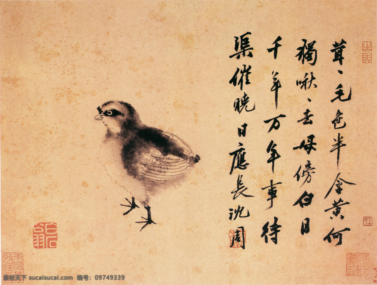 中国 花鸟画 名家 沈 周 书画 真迹 卧 游 图 二 古画 花鸟 墨笔 书画真迹 卧游图之二 中国花鸟画 名家沈周 册页 纸本 构图简洁 笔力雄厚 水墨设色 清新明快 写意小鸡 文化艺术