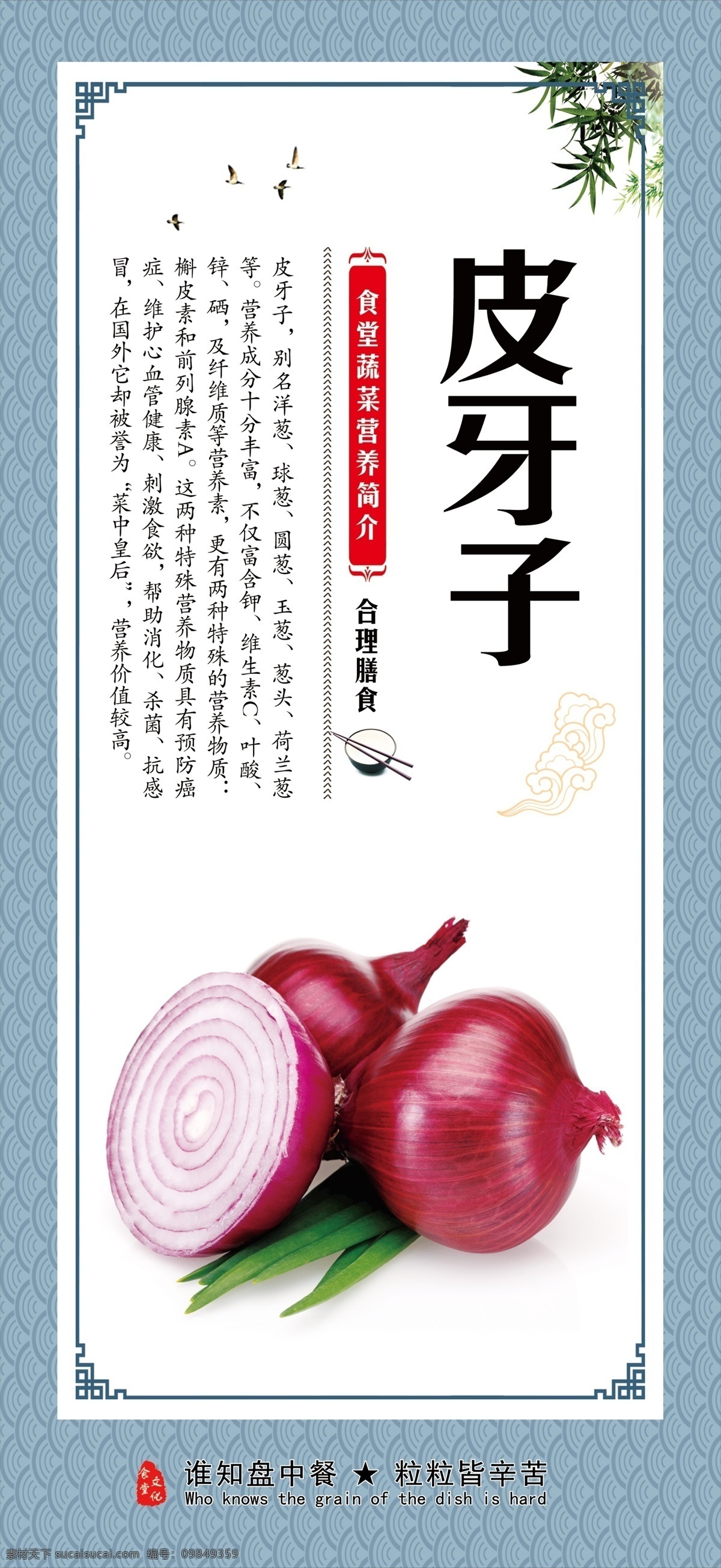 皮牙子 洋葱 餐饮 食堂文化 菜品 饮食文化 蔬菜介绍 饮食