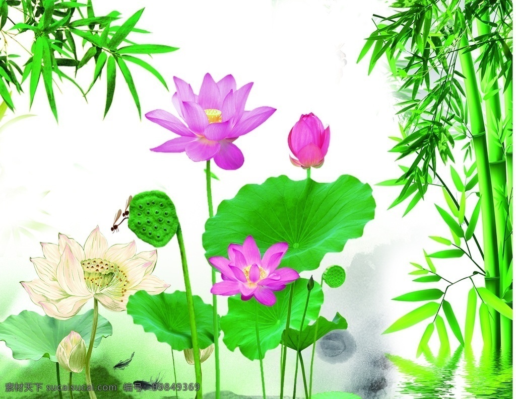 荷花 竹子 墙贴 文化艺术