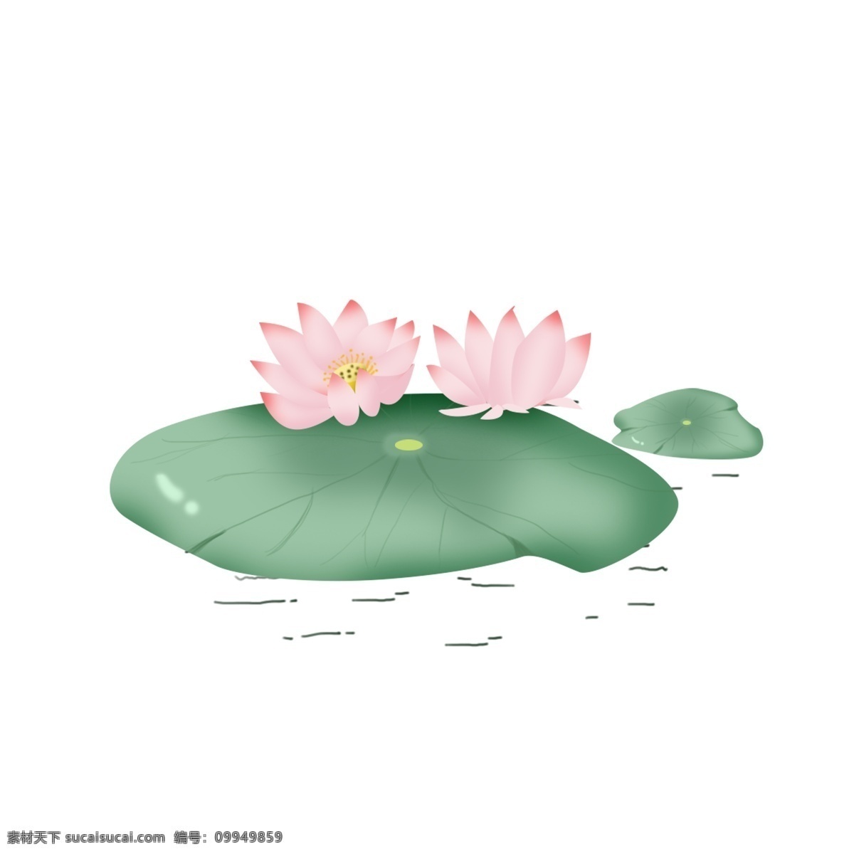 荷花 荷叶 绿色 小清 新手 绘 风 元素 小清新 手绘植物 手绘风