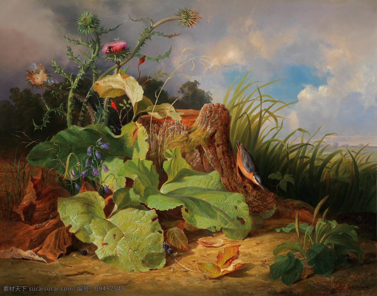 约瑟夫 舒斯特 作品 奥地利画家 蓟花 灯笼花 树桩 翠鸟 19世纪油画 油画 文化艺术 绘画书法