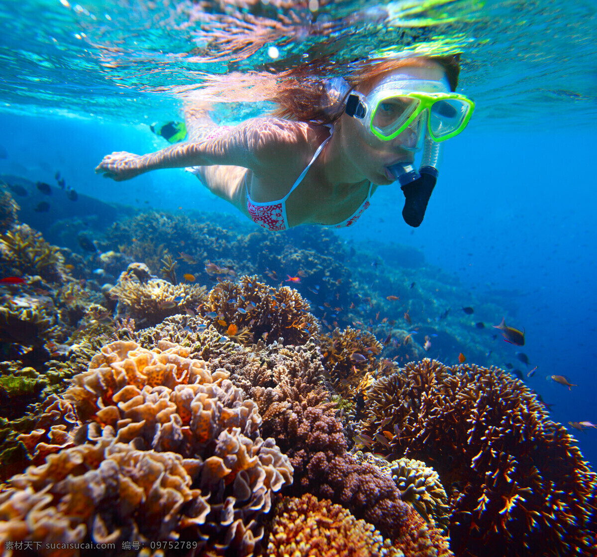 海底世界 潜水 比基尼美女 比基尼 潜水镜 水下 水底 水里 珊瑚 生物 游鱼 鱼群 海洋生物 生物世界