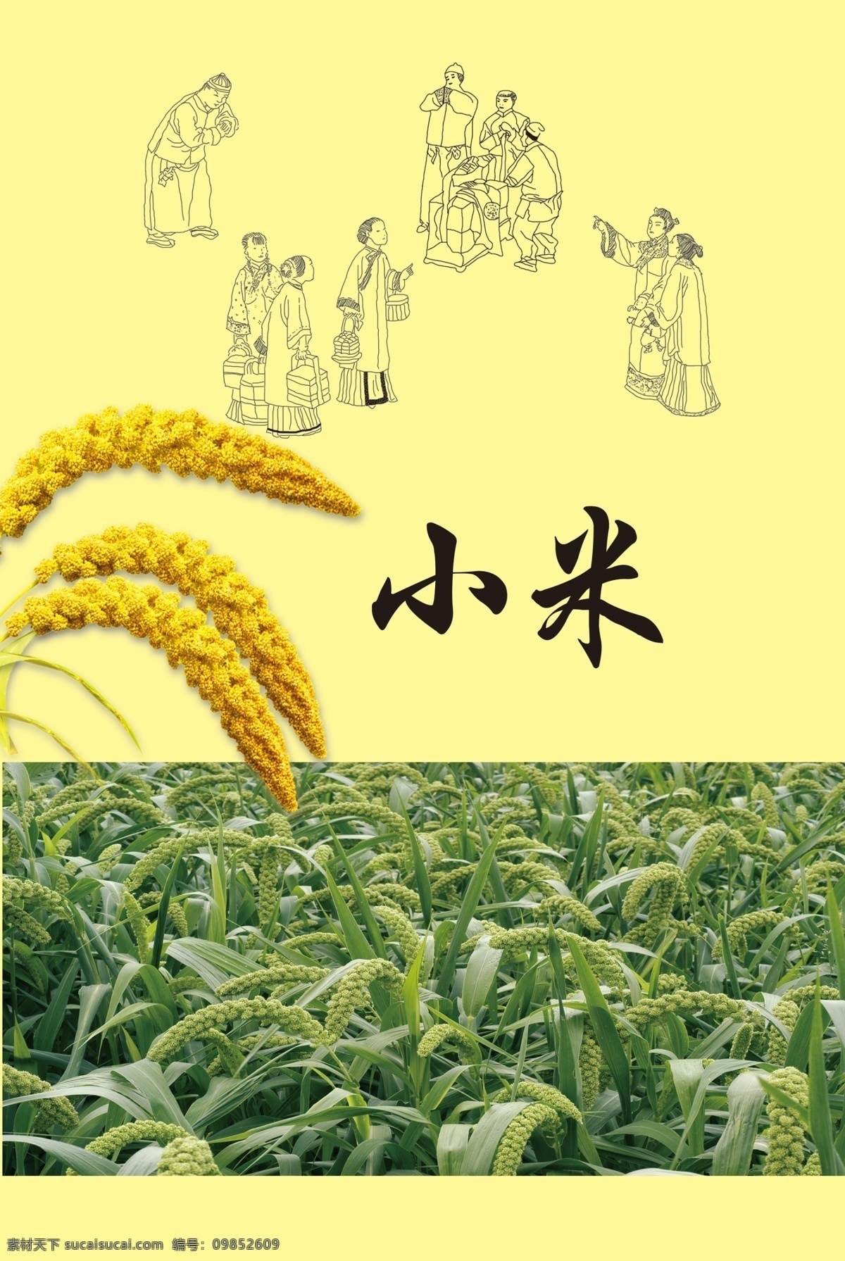 小米 田园 谷穗 分层 源文件