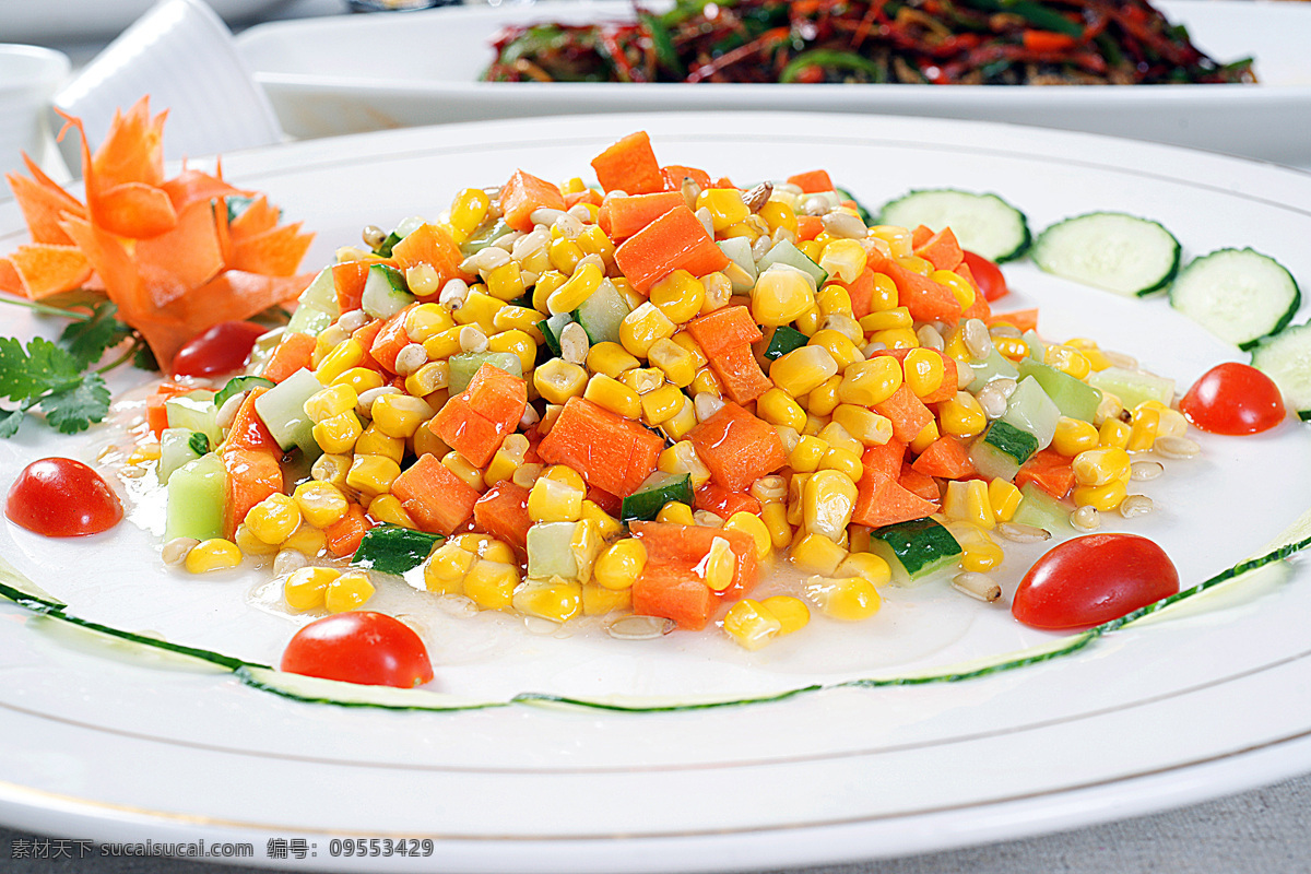 川菜 松仁 玉米 鲁菜 粤菜 苏菜 浙菜 闽菜 湘菜 徽菜 沪菜 东北菜 清真菜 新疆菜 豫菜 广东菜 山东菜 北京菜 鄂菜 炒菜 家常菜 特色菜 热菜 美食 美味 八大菜系 中餐 菜谱 菜名 小炒 炒饭 烧菜 凉菜 菜肴 小吃 锅仔 烧烤 油炸 红烧 爆炒 清蒸 油焖 干煸 干锅 主食 副食 米饭 面条 点心 餐饮美食 传统美食