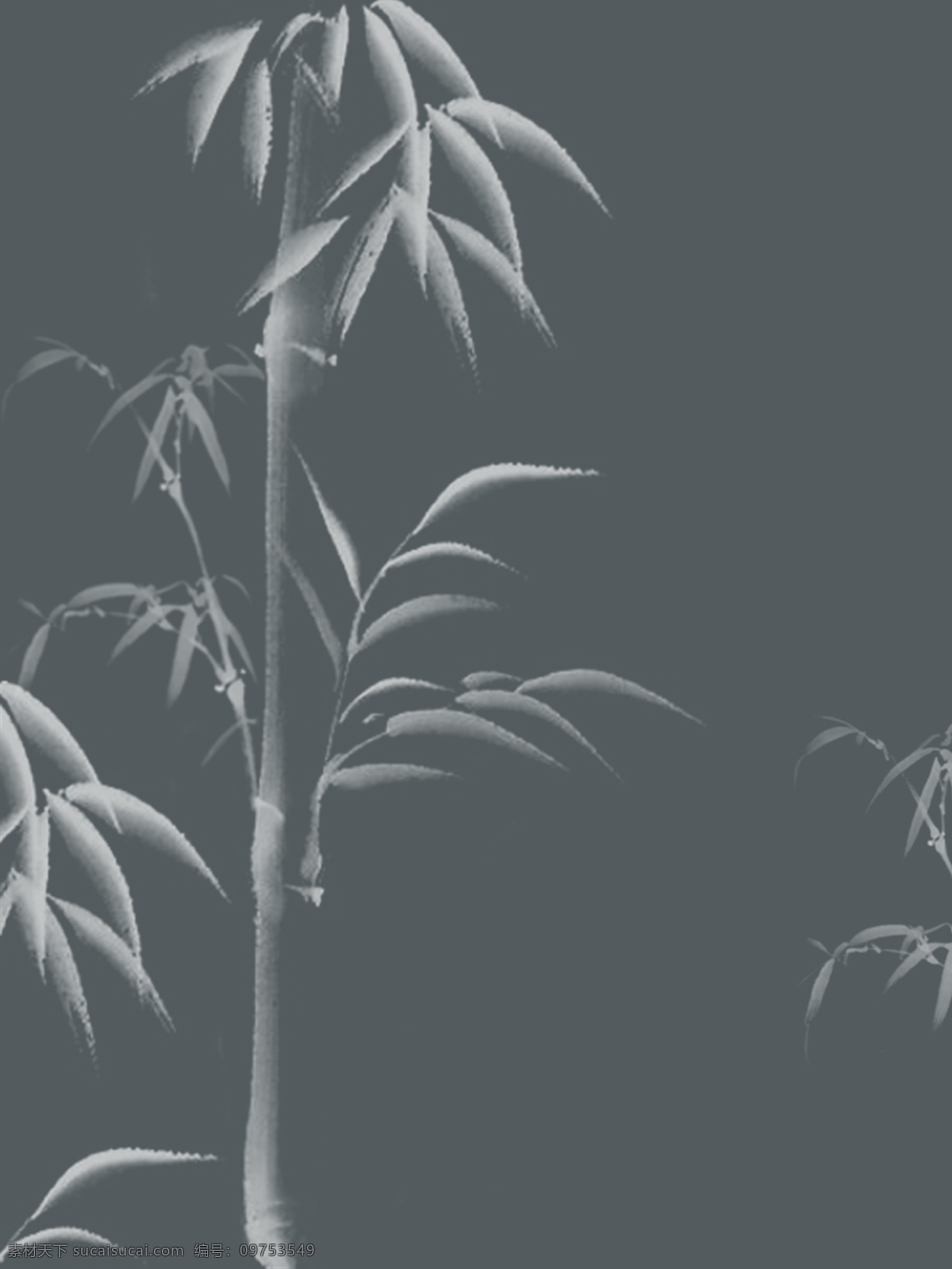 原创 水墨 竹子 背景 原创背景 水墨背景 墨绿背景
