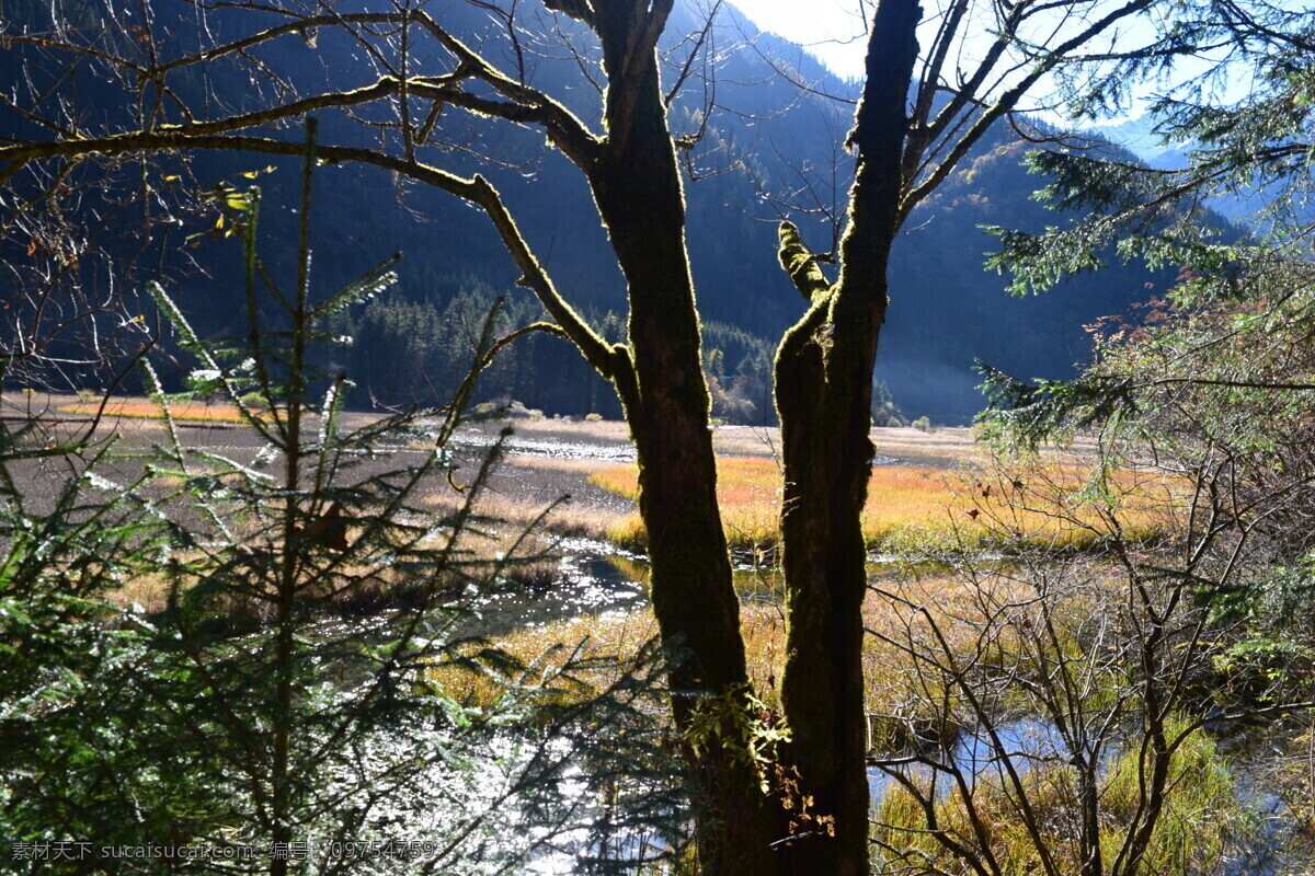 四川九寨沟 九寨沟 九寨沟风光 山水 山水风光 九寨沟风景 秋天的九寨沟 九寨沟景色 九寨沟瀑布 溪水 芳草海 九寨沟芳草海 九寨沟山水 长海 九寨沟旅游 自然风光 雪山 九寨沟雪山 沃洛色莫 雪山的水 四川风景 四川景点 自然景观 风景名胜