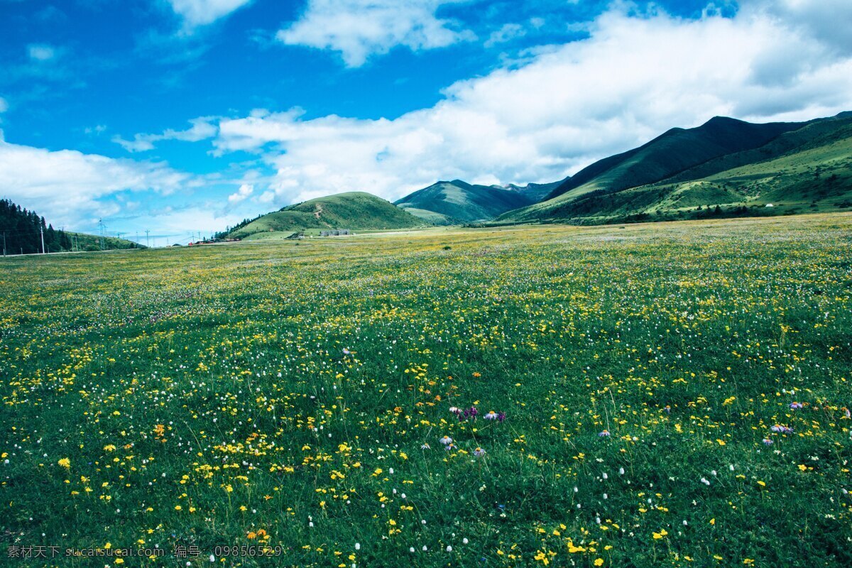 川藏线 沿途 草原 风景图片 风景 高山 川藏 旅游摄影 自然风景