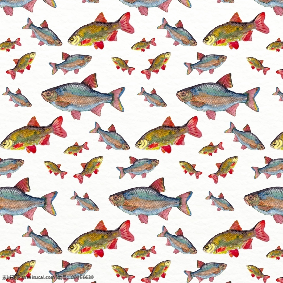 鱼类无缝背景 大鱼 小鱼 鱼类 矢量图 动物 彩绘 鱼 无缝背景费 矢量素材 ai格式