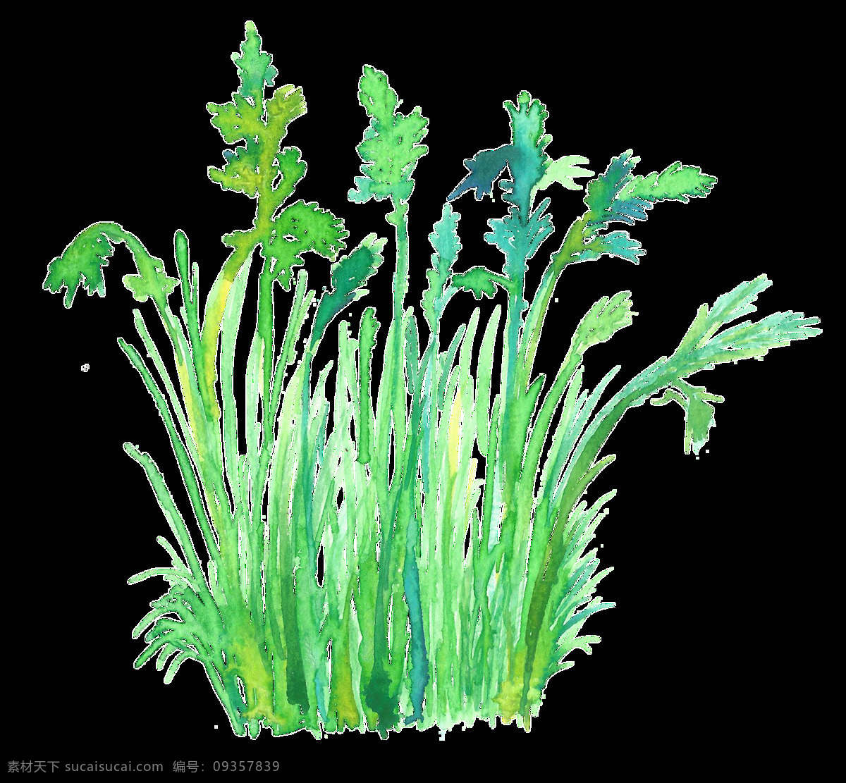 水绿 水稻 透明 装饰 碧绿 绿色 免扣素材 透明素材 装饰图案
