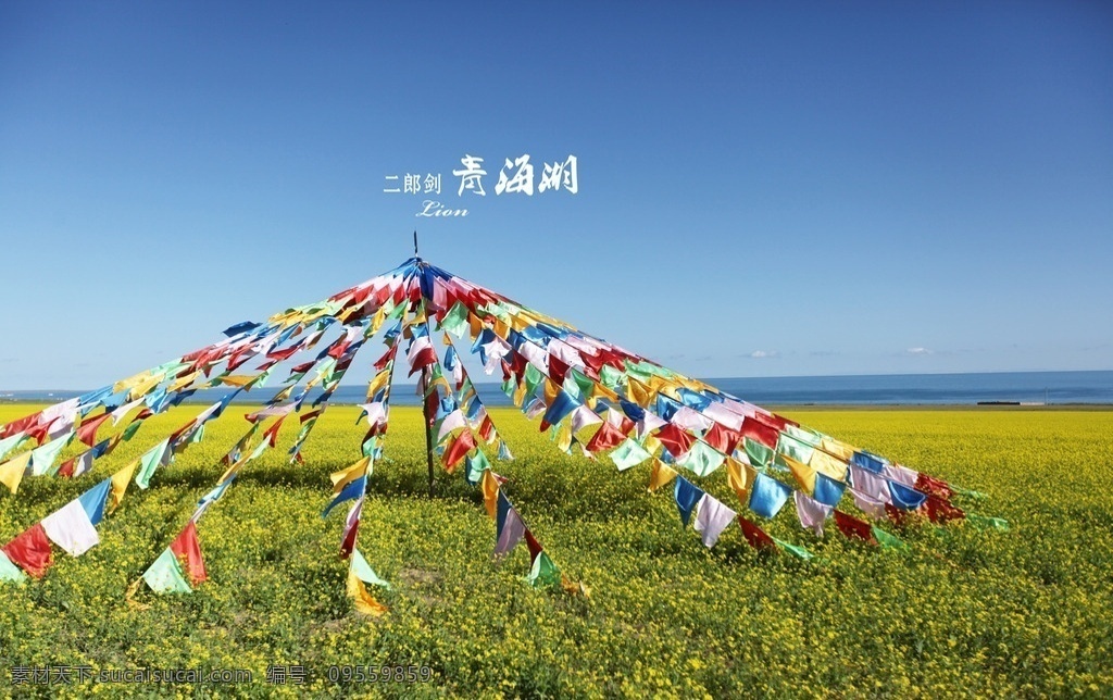 青海湖 风马旗 油菜花 大西北 自驾游 旅游摄影 国内旅游