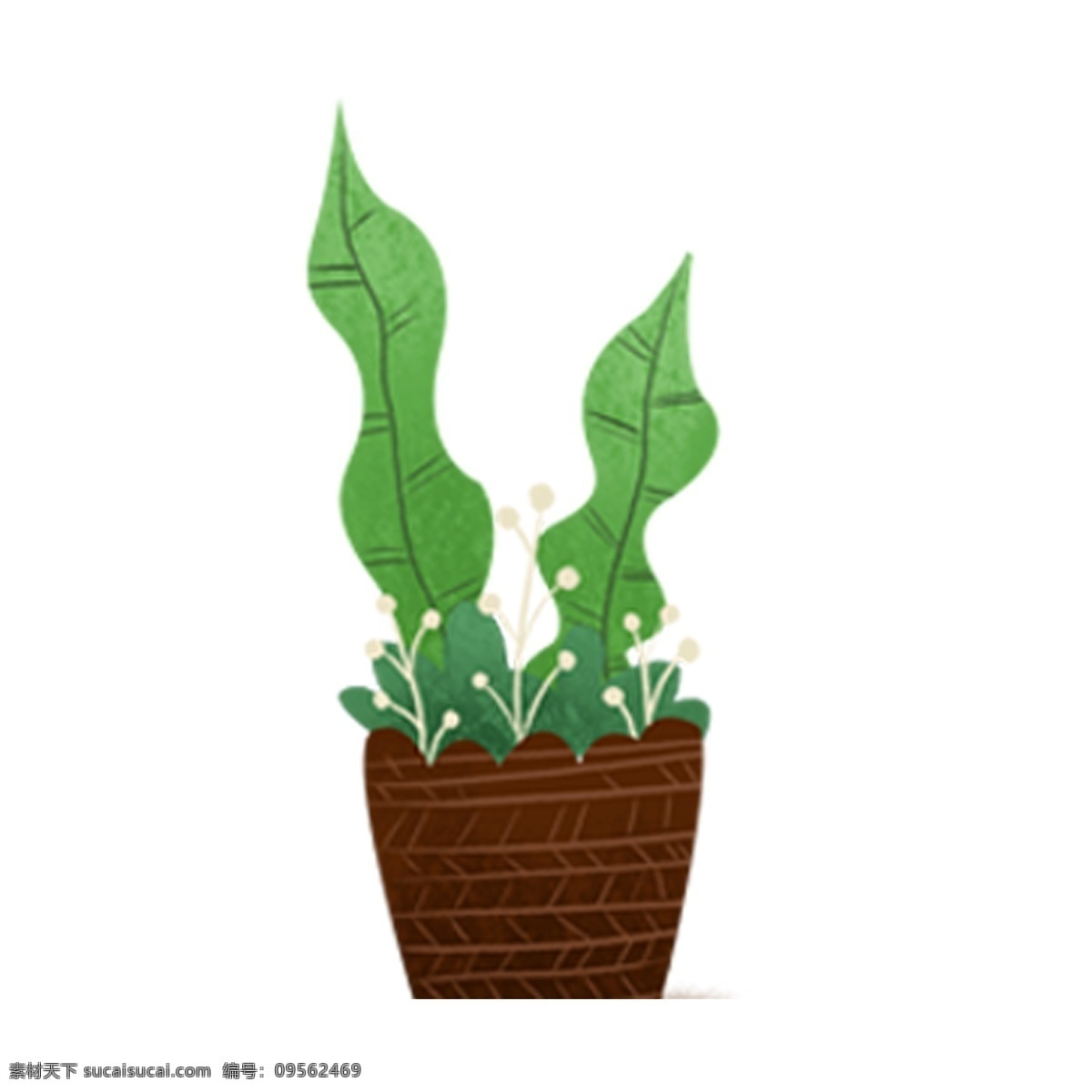 手绘 盆栽 卡通 透明 卡通素材 可爱 植物 清新 免扣素材 透明素材