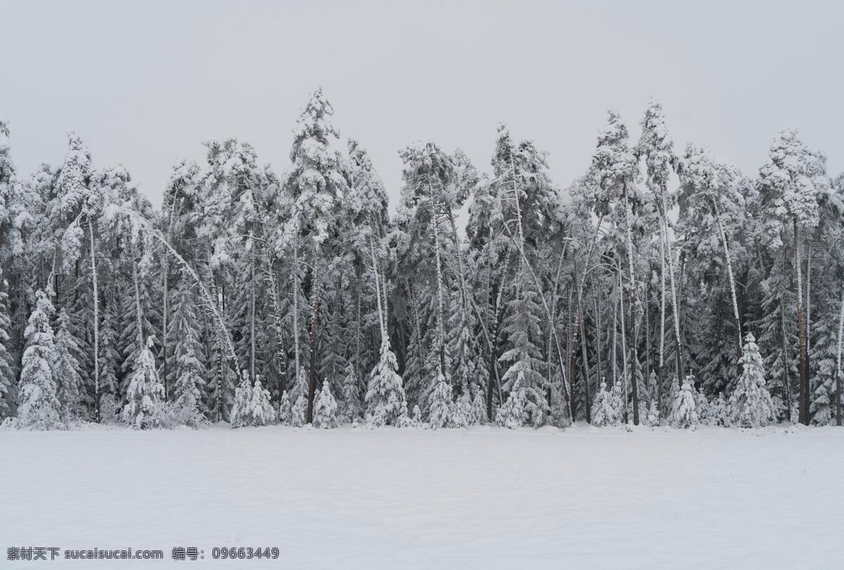 雪花 雪山 雪地 雪景 沙漠 风景 山水 天空 蓝天 水 大海 海平面 湖水 高山 远景 海滩 沙滩 沙子 海面 特写 壁纸 雪山风景油画 雪景图片 雪山的形成 雪山旅行 雪山风景壁纸 自然景观 山水风景