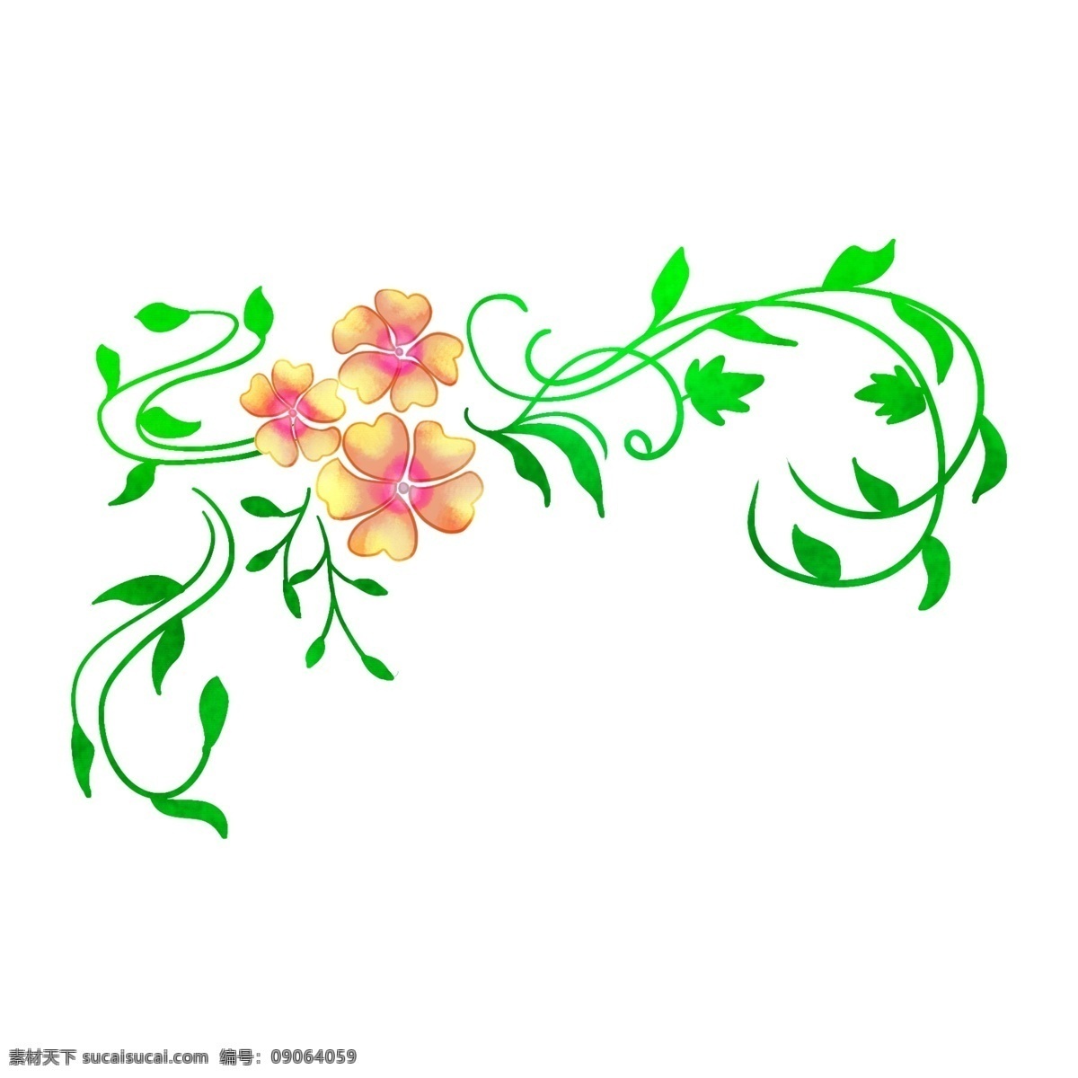 绽放 春天 花 藤 插画 绿色的叶子 卡通插画 花藤插画 花朵插画 鲜花插画 花卉插画 漂亮的花朵