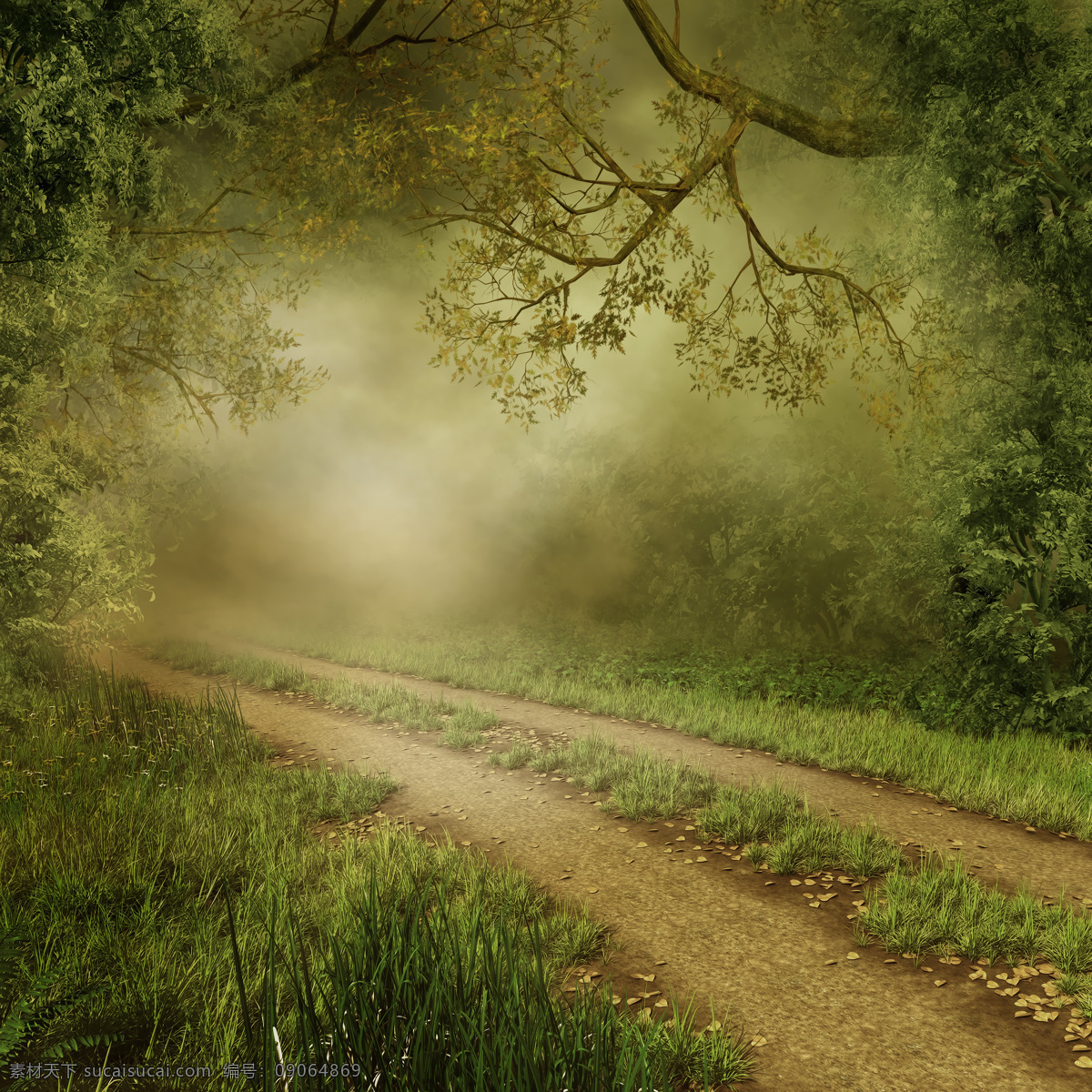 朦胧 道路 公路 马路 美丽风景 美景 景色 大雾 公路图片 环境家居