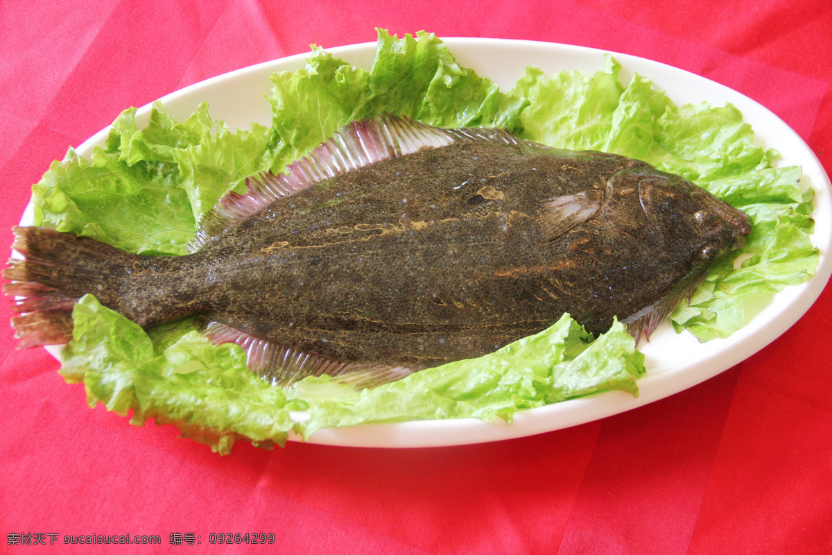 左 口 餐饮美食 海鲜 美食摄影 食物原料 鱼类 左口 左口鱼 生物世界