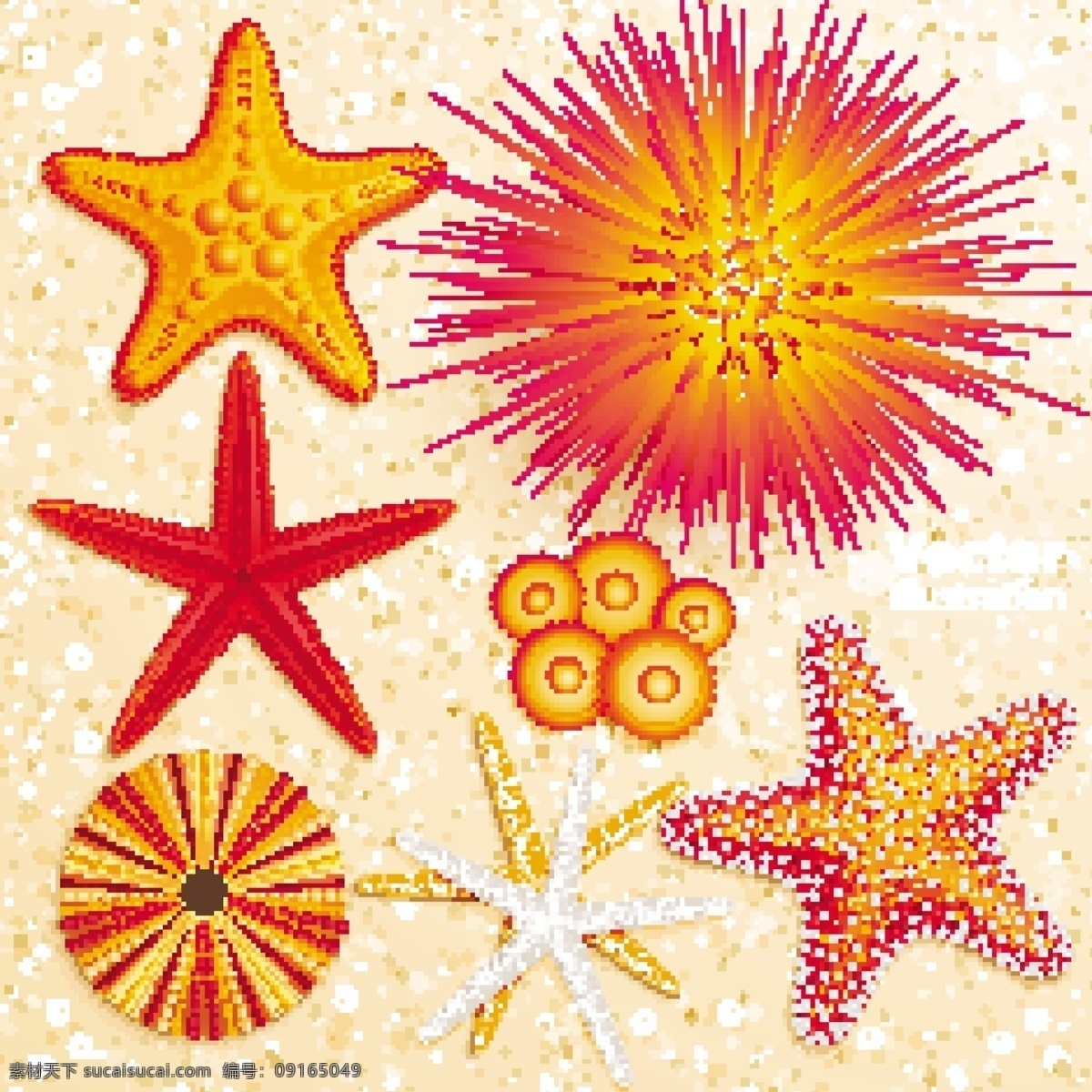 沙滩海洋生物 沙滩 海螺 海星 贝壳 矢量 海洋生物 生物世界