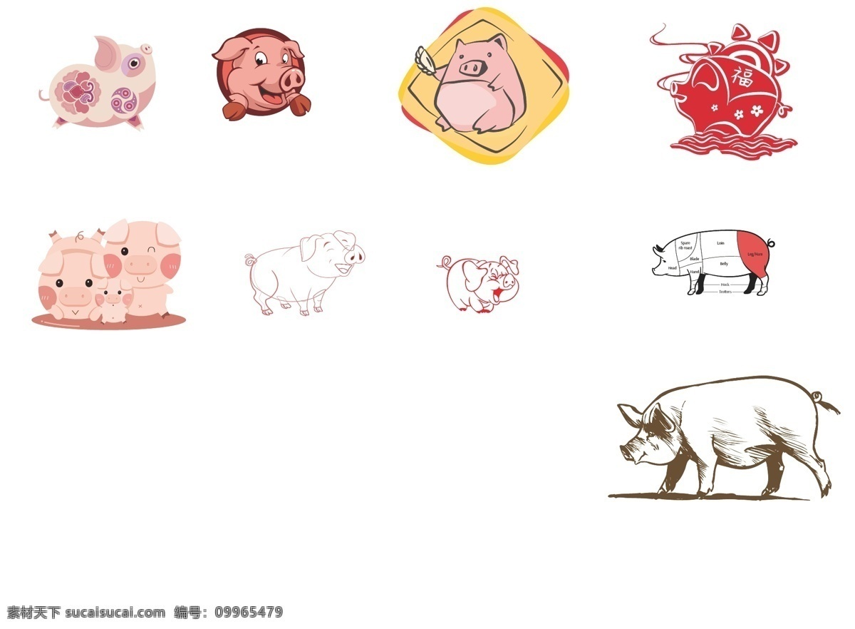 猪 矢量 手绘 卡通 线条 肉 2019猪年