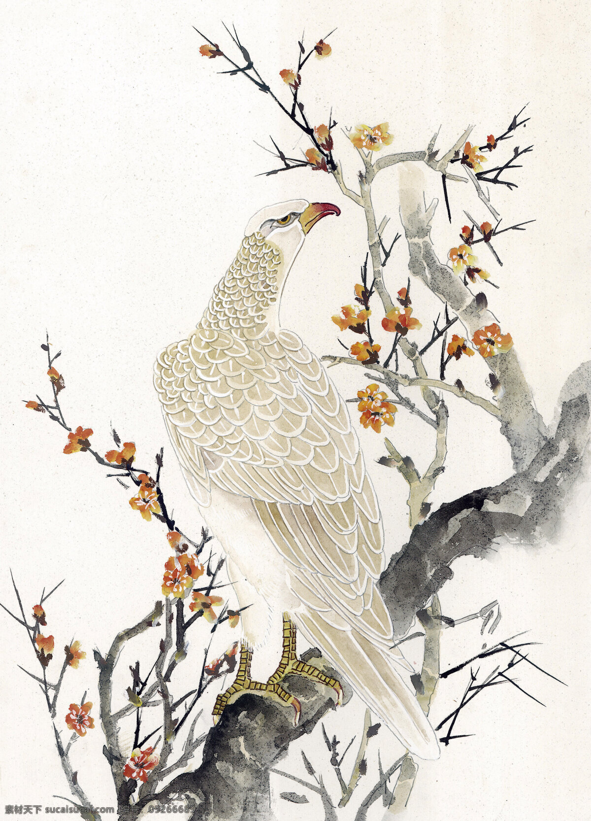 鹰 工笔花鸟 国画0231 国画 设计素材 花鸟画篇 中国画篇 书画美术 白色