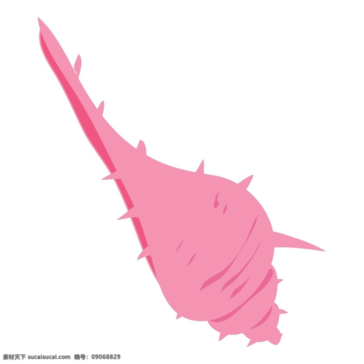 漂亮 海螺 免 抠 图 红色的海螺 真好看 红通通 粉红色的海螺 卡通插画 艺术插画 漂亮的海螺 海鲜