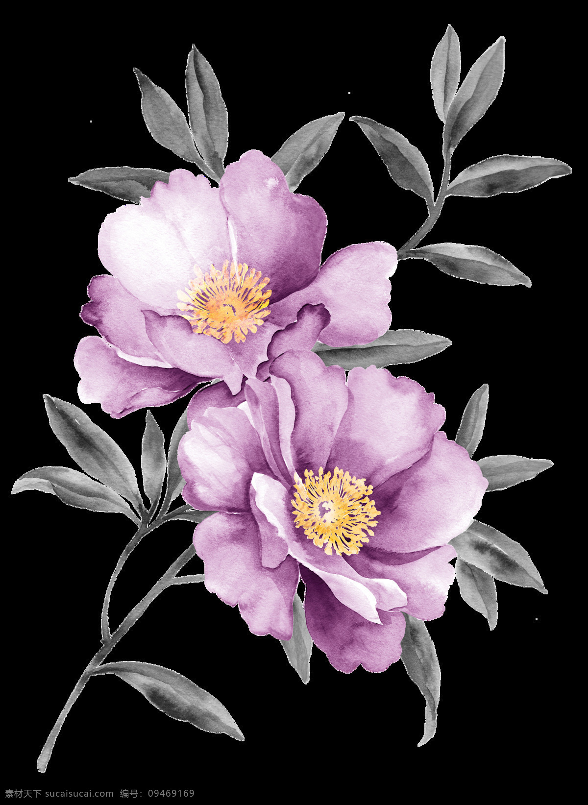 水彩花朵图片 免扣 紫色花朵 免扣素材 水彩花 花朵
