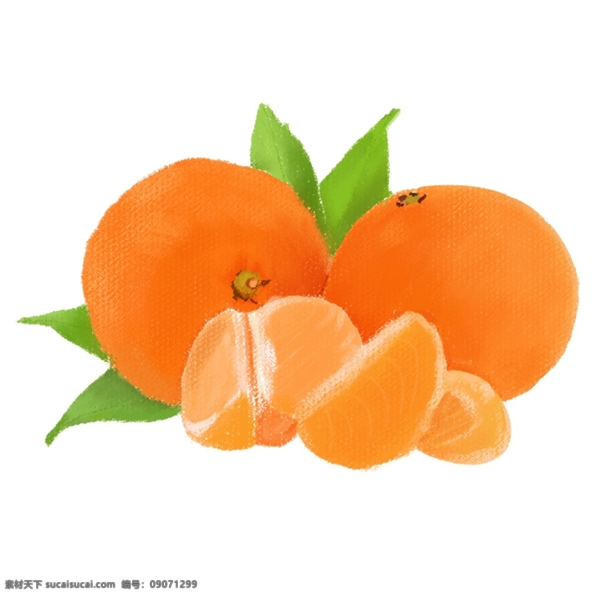 手绘 水果 实物 橘子 黄色 绿色叶子