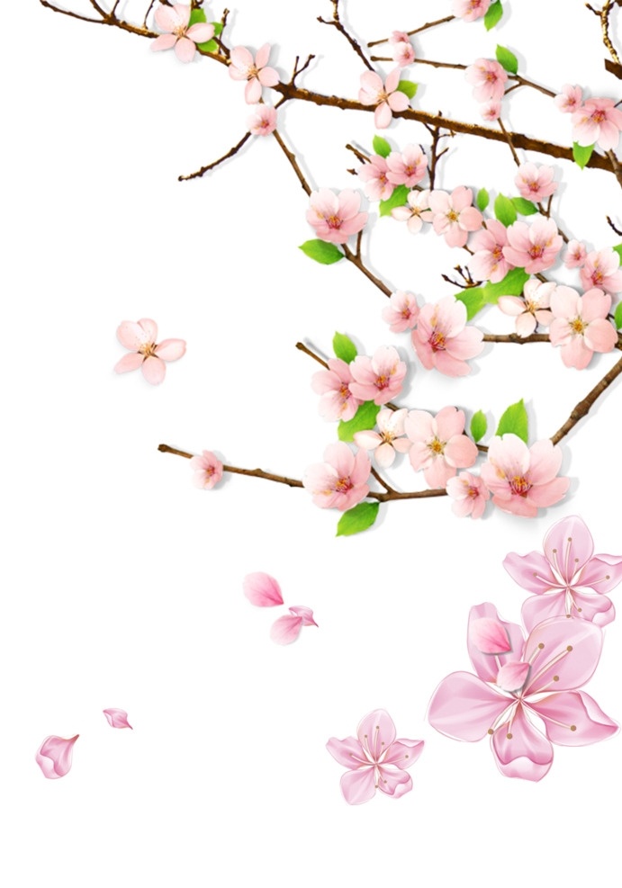 桃花 桃花图片 桃花绿叶 桃树 桃枝 粉色桃花 花瓣 花瓣图片 花瓣背景 花瓣飘落 飘落花瓣 桃花花瓣 花朵 粉色花瓣 唯美 免抠图 分层