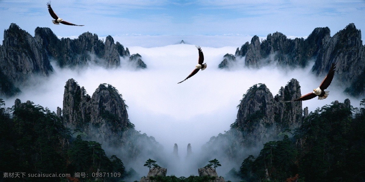 大展宏图 鹏程万里 雄鹰展翅 风景 风景画 自然风景 鹰 雄鹰 山 山峰 鸟瞰 云 云彩 云海 仙境 分层 源文件