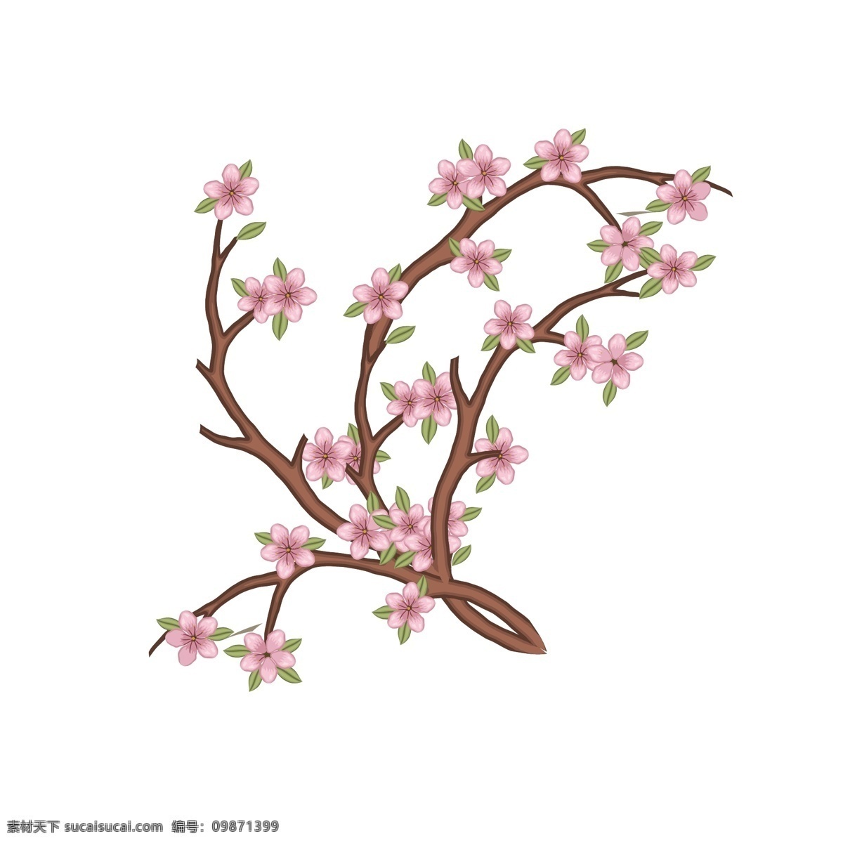 手绘 卡通 写实 植物 桃花