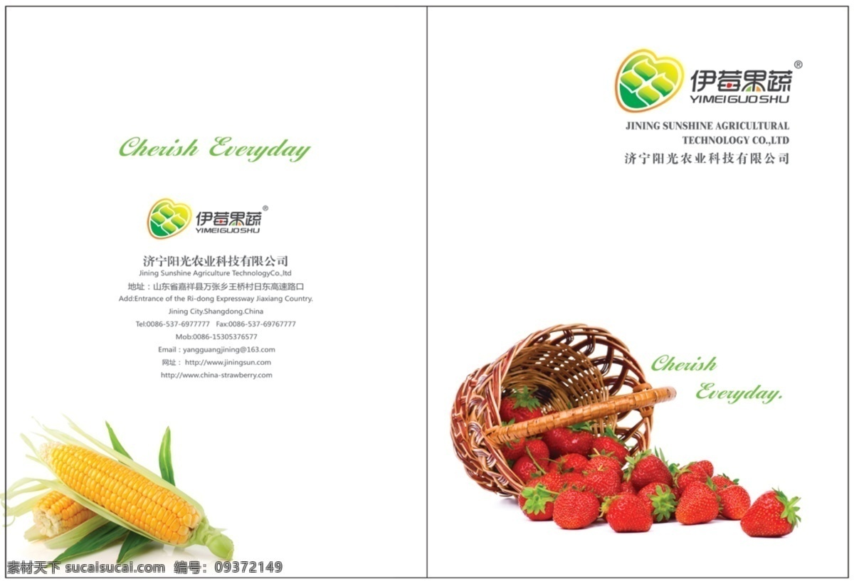 果蔬 样本 草莓 豆角 画册设计 辣椒 茄子 蔬菜 水果 其他画册整套