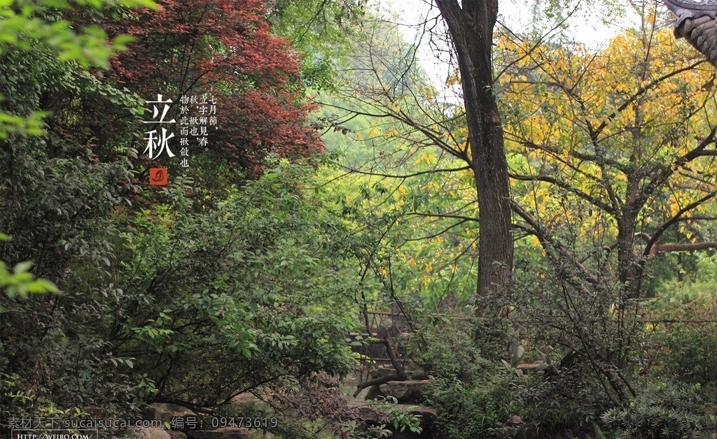 二十四节气 立秋 张春摄影作品 自然风光 自然景观 转载 请 注明 出处 作者