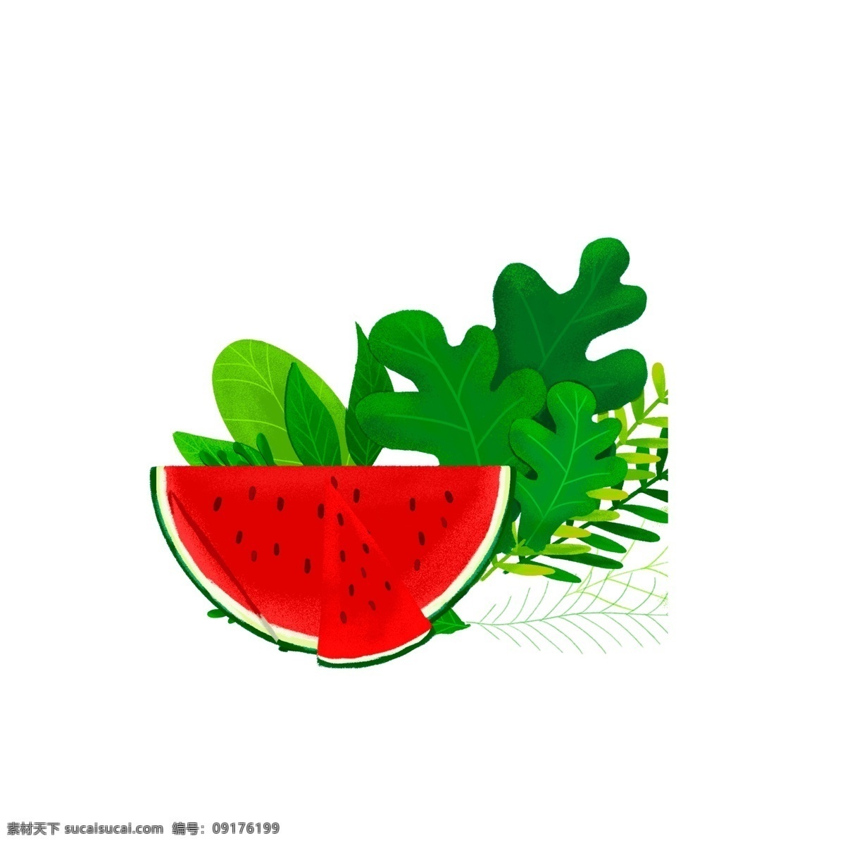 绿色 小 清新 夏季 西瓜 元素 小清晰 树叶 插画 手绘
