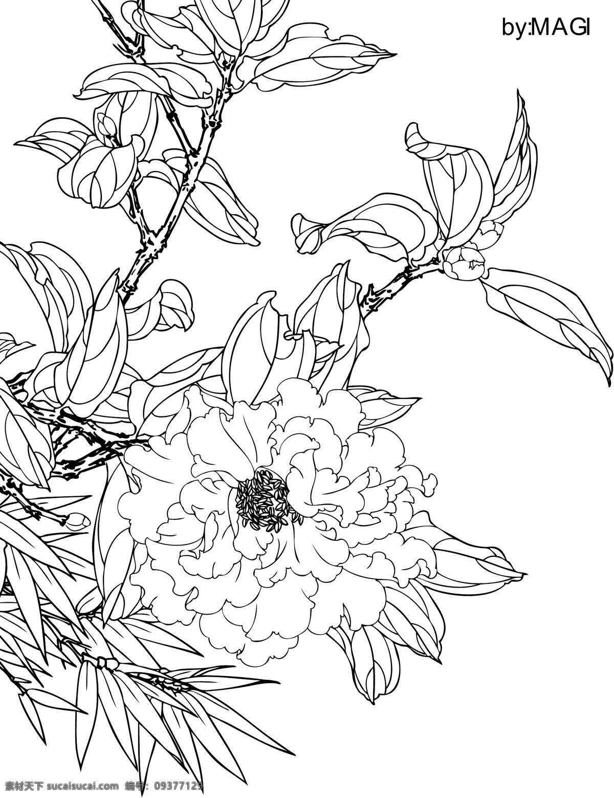 茶花线描 茶花 线描 矢量 模板下载 白描 茶花矢量素材 茶花模板下载 花纹 精准 用处广 漫画 插画 工笔画 美术绘画 文化艺术