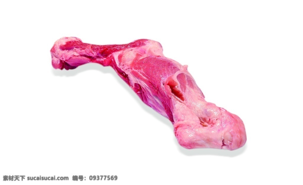 猪后蹄膀 猪后 蹄膀 后蹄膀 猪肉 餐饮美食 食物原料