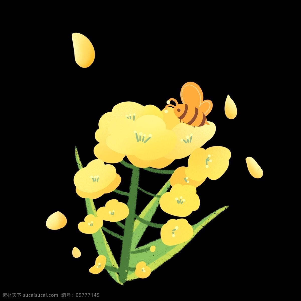 采 蜜 油菜花 装饰 插图 金灿灿 谐音 才华 勤劳的蜜蜂 春暖花开 金色海洋 黄色油菜花