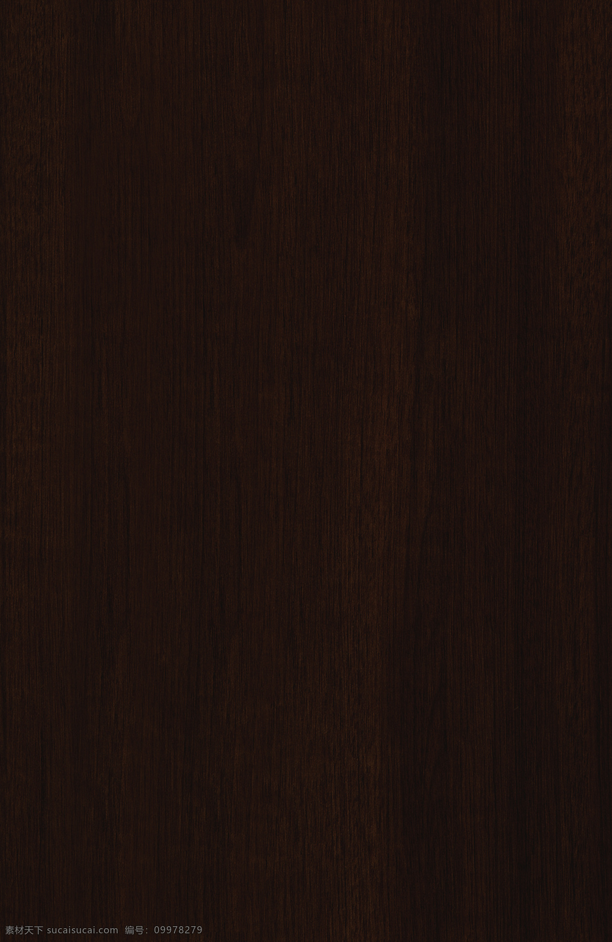 时尚 简约 木门 3d 渲染 效果图 3d渲染 3d模型 实木 棕色 实木门模型