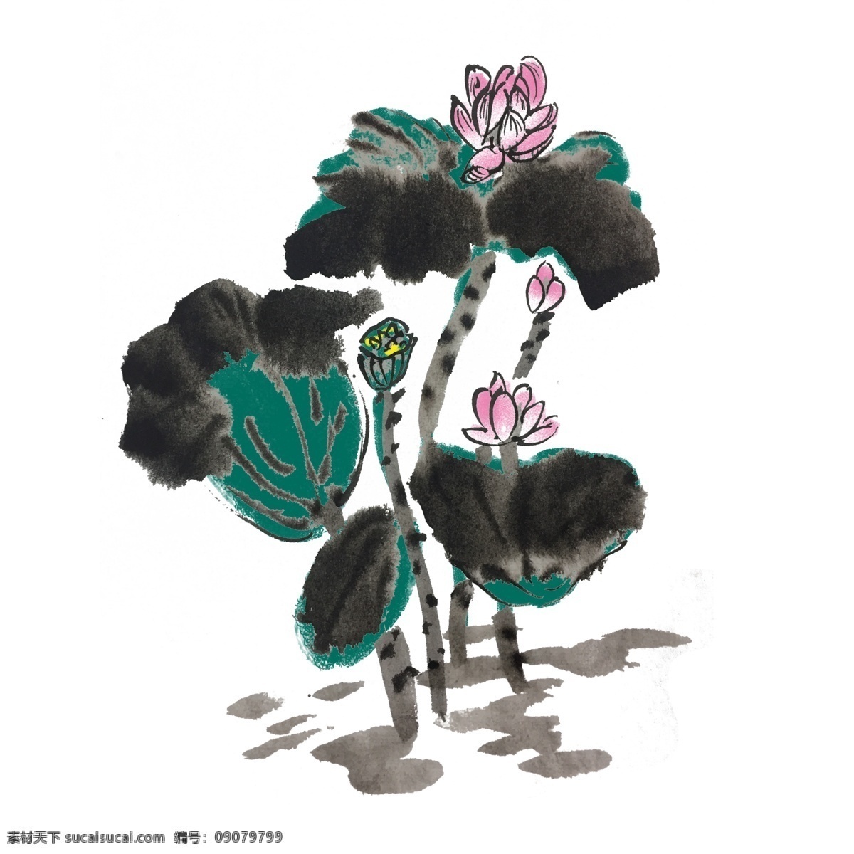 中国 风 荷花 手绘 插画 夏季 夏天 荷叶 出水芙蓉 芙蓉 中国风 古风 水墨风 墨迹 彩色 春天 生动 花草 国风